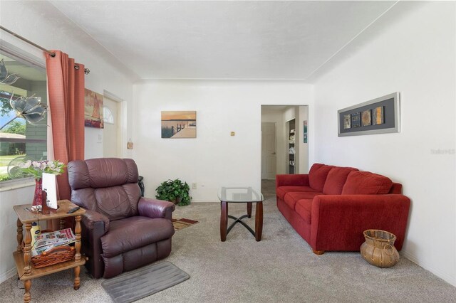 4917 99th St N, Saint Petersburg, FL 33708 - living area featuring carpet flooring