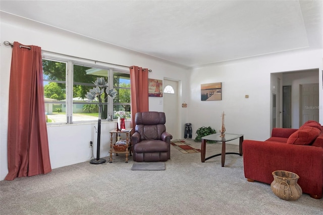 4917 99th St N, Saint Petersburg, FL 33708 - living room featuring carpet flooring