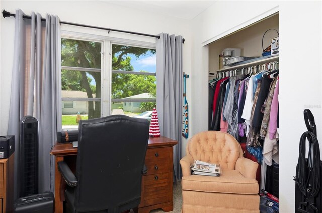 4917 99th St N, Saint Petersburg, FL 33708 - office with plenty of natural light
