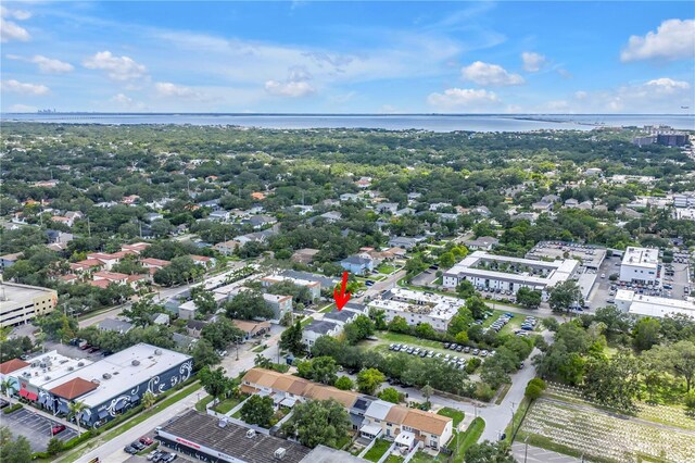 3807 W Cleveland St, Tampa, FL 33609 - photo 69