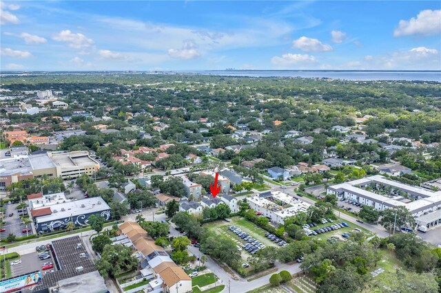 3807 W Cleveland St, Tampa, FL 33609 - photo 72