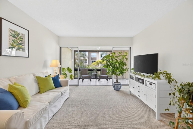 10351 Regal Dr Unit 24, Largo, FL 33774 - living room with light carpet