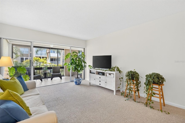 10351 Regal Dr Unit 24, Largo, FL 33774 - carpeted living area with baseboards