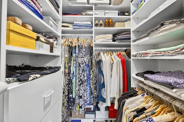 10351 Regal Dr Unit 24, Largo, FL 33774 - view of spacious closet