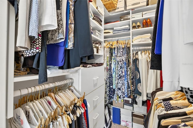 10351 Regal Dr Unit 24, Largo, FL 33774 - view of spacious closet