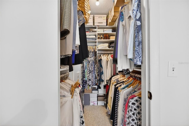 10351 Regal Dr Unit 24, Largo, FL 33774 - view of spacious closet