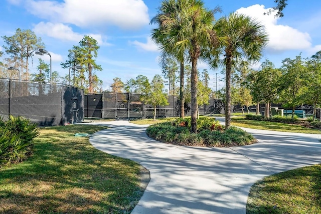 3241 Evening Breeze Loop, Wesley Chapel, FL 33544 - view of home's community