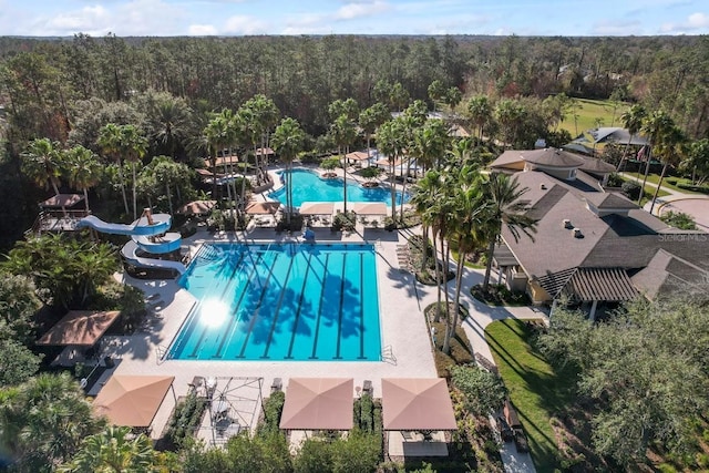3241 Evening Breeze Loop, Wesley Chapel, FL 33544 - community pool with a water slide and a forest view