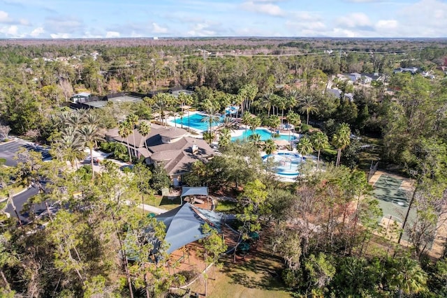 3241 Evening Breeze Loop, Wesley Chapel, FL 33544 - bird's eye view of a pool area and a forest