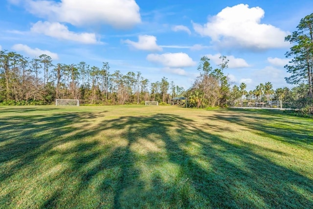 3241 Evening Breeze Loop, Wesley Chapel, FL 33544 - view of yard with a sport area