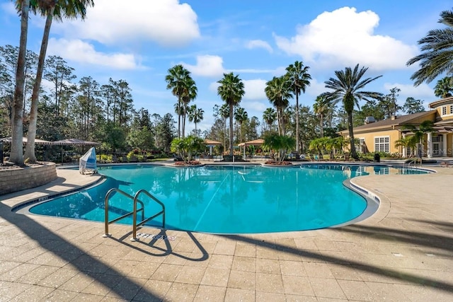 3241 Evening Breeze Loop, Wesley Chapel, FL 33544 - community pool featuring a patio area