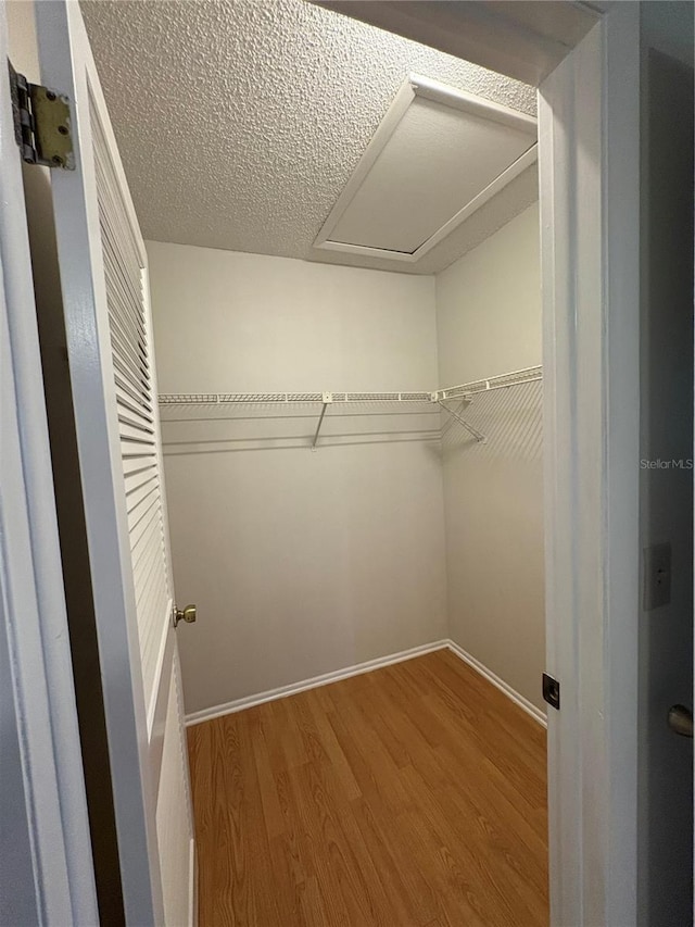 2900 Grovewood Blvd Unit A, Palm Harbor, FL 34683 - photo 18