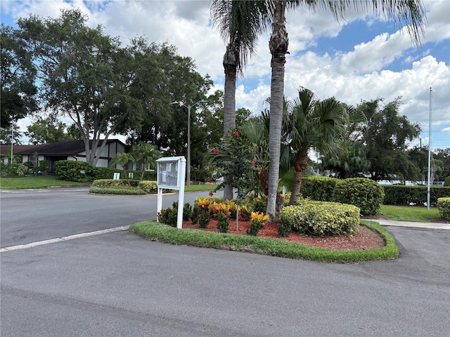 2900 Grovewood Blvd Unit A, Palm Harbor, FL 34683 - photo 24
