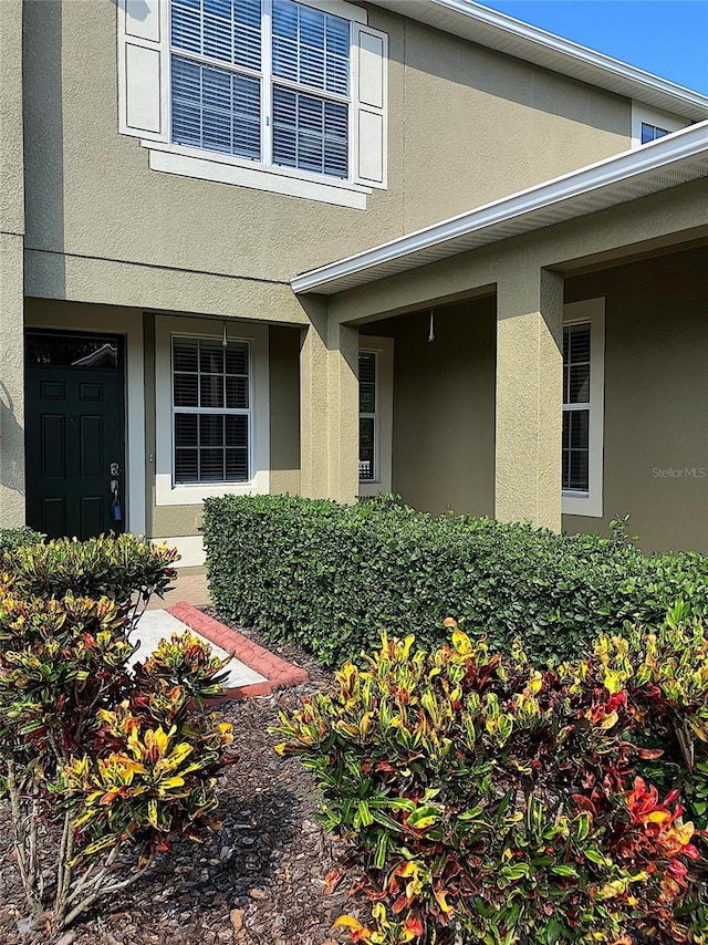 20101 Oakflower Ave, Tampa, FL 33647 - photo 8