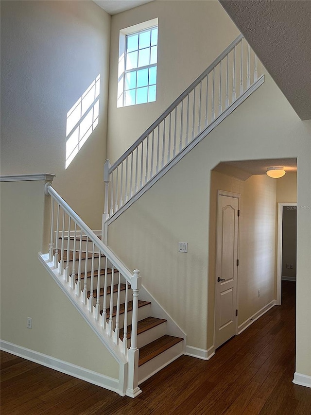 20101 Oakflower Ave, Tampa, FL 33647 - photo 15