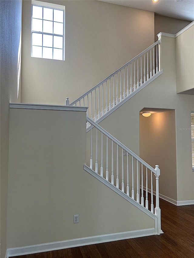 20101 Oakflower Ave, Tampa, FL 33647 - photo 16