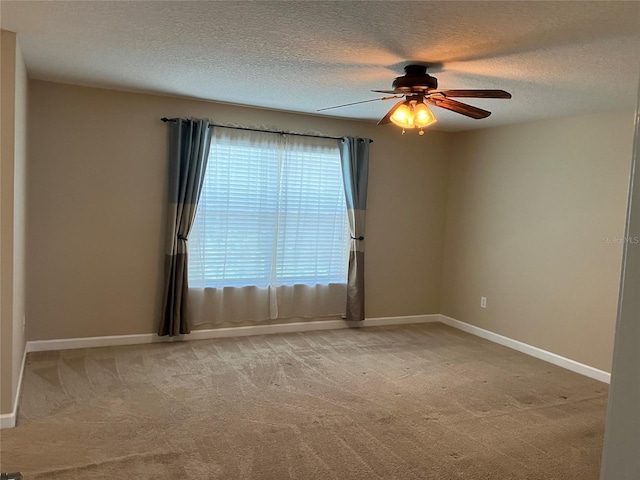 20101 Oakflower Ave, Tampa, FL 33647 - photo 45