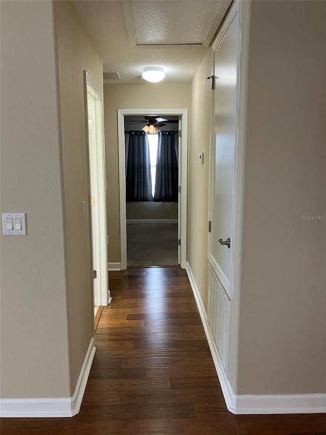20101 Oakflower Ave, Tampa, FL 33647 - photo 53