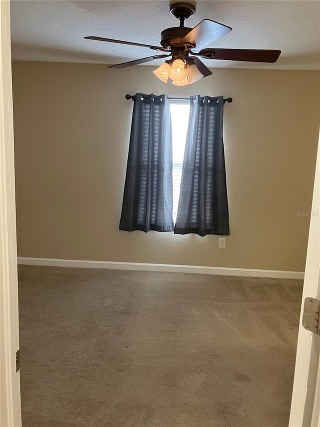 20101 Oakflower Ave, Tampa, FL 33647 - photo 54