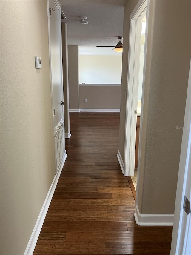 20101 Oakflower Ave, Tampa, FL 33647 - photo 61