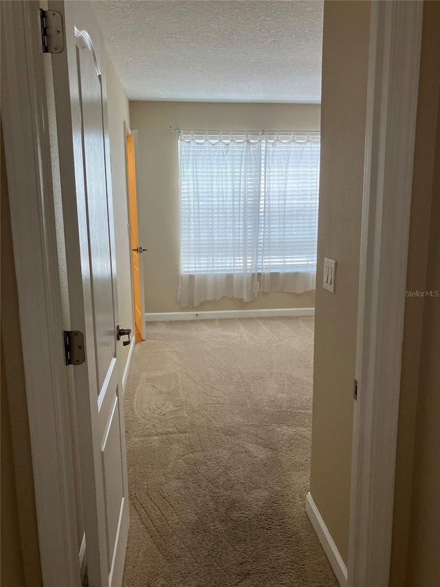20101 Oakflower Ave, Tampa, FL 33647 - photo 62