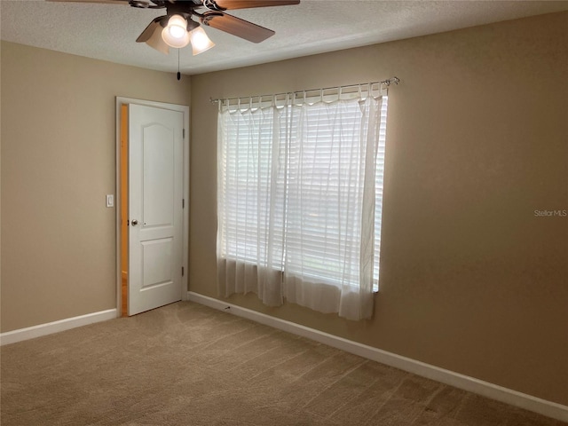 20101 Oakflower Ave, Tampa, FL 33647 - photo 63