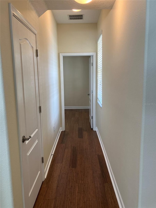 20101 Oakflower Ave, Tampa, FL 33647 - photo 66