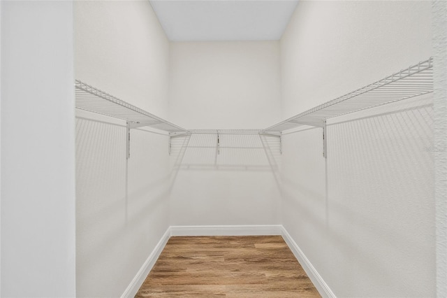 8319 N Ogontz Ave, Tampa, FL 33604 - spacious closet with wood finished floors