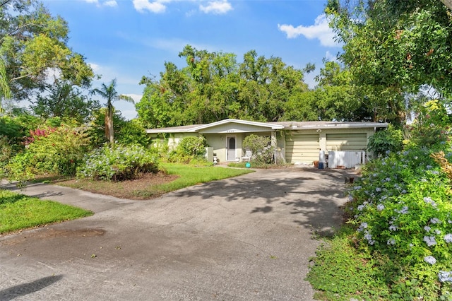 5011 S Hesperides St, Tampa, FL 33611 - photo 2