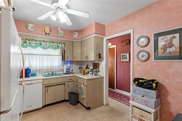 5011 S Hesperides St, Tampa, FL 33611 - photo 11