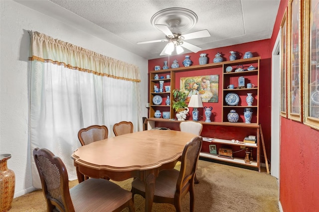 5011 S Hesperides St, Tampa, FL 33611 - photo 12