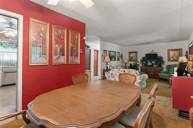 5011 S Hesperides St, Tampa, FL 33611 - photo 13