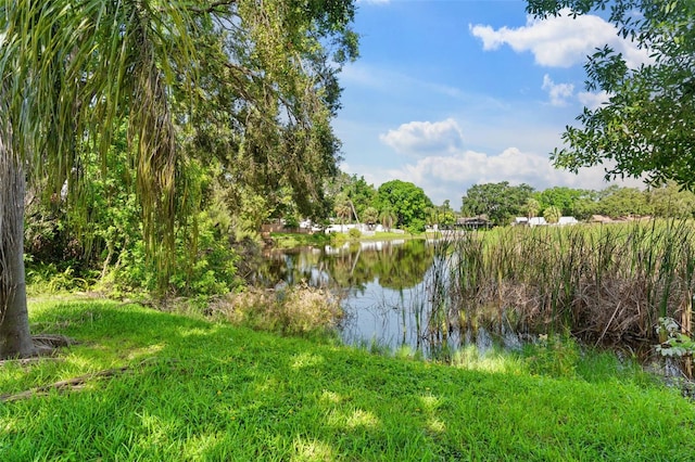 5011 S Hesperides St, Tampa, FL 33611 - photo 31