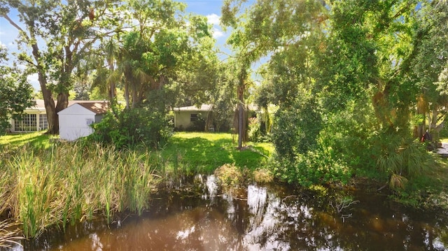 5011 S Hesperides St, Tampa, FL 33611 - photo 42