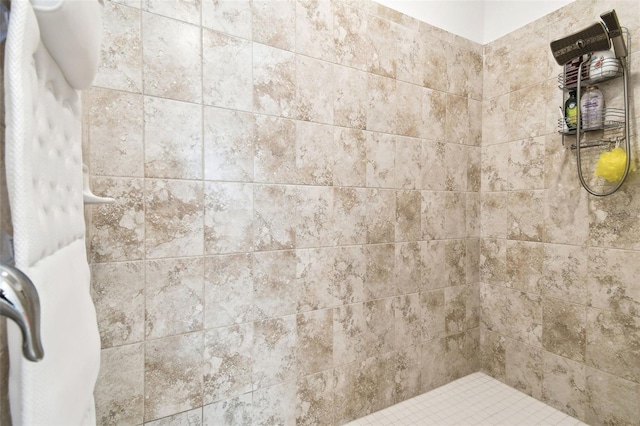 12351 Nouveau Ave, Spring Hill, FL 34610 - full bath featuring tiled shower