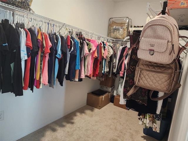 12351 Nouveau Ave, Spring Hill, FL 34610 - spacious closet featuring carpet floors