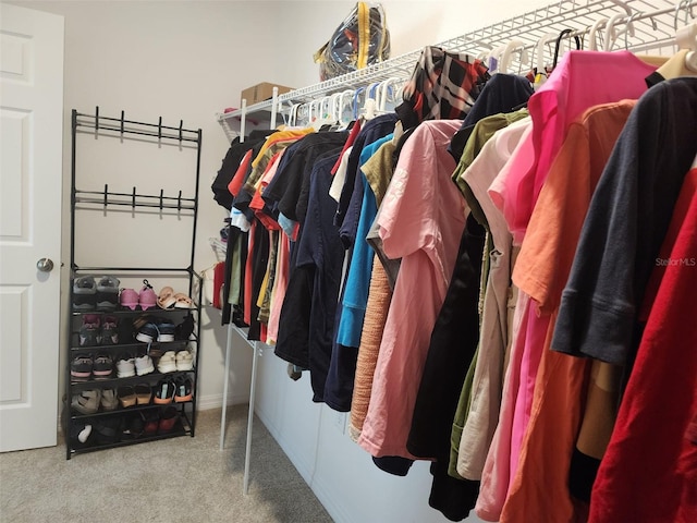 12351 Nouveau Ave, Spring Hill, FL 34610 - spacious closet featuring carpet floors