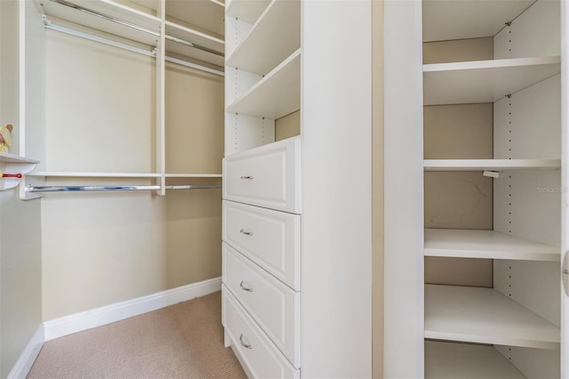 650 Geneva Pl, Tampa, FL 33606 - walk in closet with light colored carpet