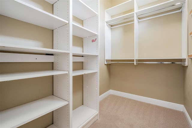 650 Geneva Pl, Tampa, FL 33606 - spacious closet with carpet