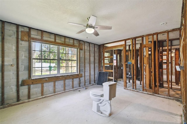 5107 W Azeele St, Tampa, FL 33609 - photo 27
