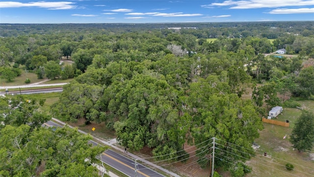 38443 Cummer Rd, Dade City, FL 33523 - photo 13