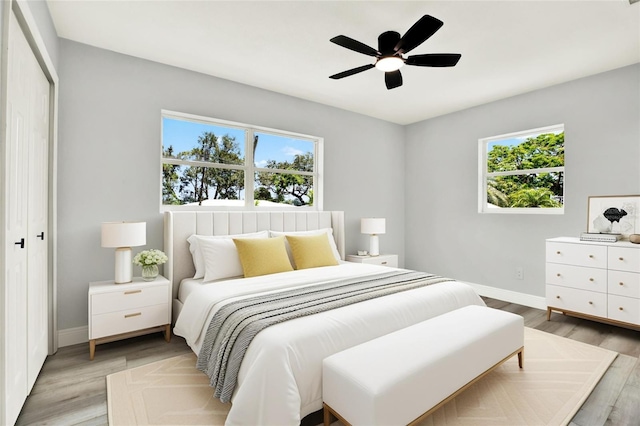 1223 Jasmine Way, Clearwater, FL 33756 - bedroom with multiple windows, light wood-style flooring, and a closet