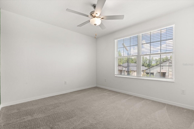22359 Storybook Cabin Way, Land O Lakes, FL 34637 - photo 24