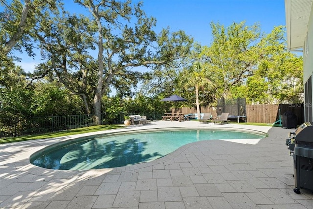 4722 W Laurel Rd, Tampa, FL 33629 - photo 57