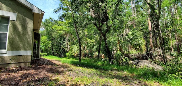3493 Kings Rd Unit 106, Palm Harbor, FL 34685 - photo 7