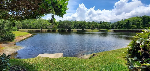 3493 Kings Rd Unit 106, Palm Harbor, FL 34685 - photo 8