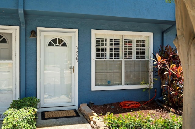 3323 Fox Hunt Dr, Palm Harbor, FL 34683 - view of exterior entry with stucco siding