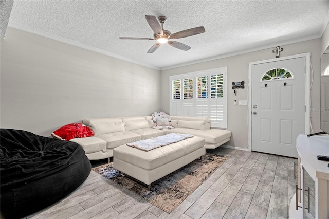 3323 Fox Hunt Dr, Palm Harbor, FL 34683 - living area with ceiling fan, light wood-style flooring, a textured ceiling, and ornamental molding