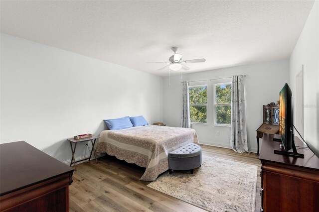 3115 Gina Ct, Holiday, FL 34691 - photo 12