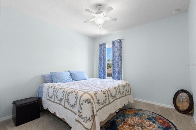 3115 Gina Ct, Holiday, FL 34691 - photo 20